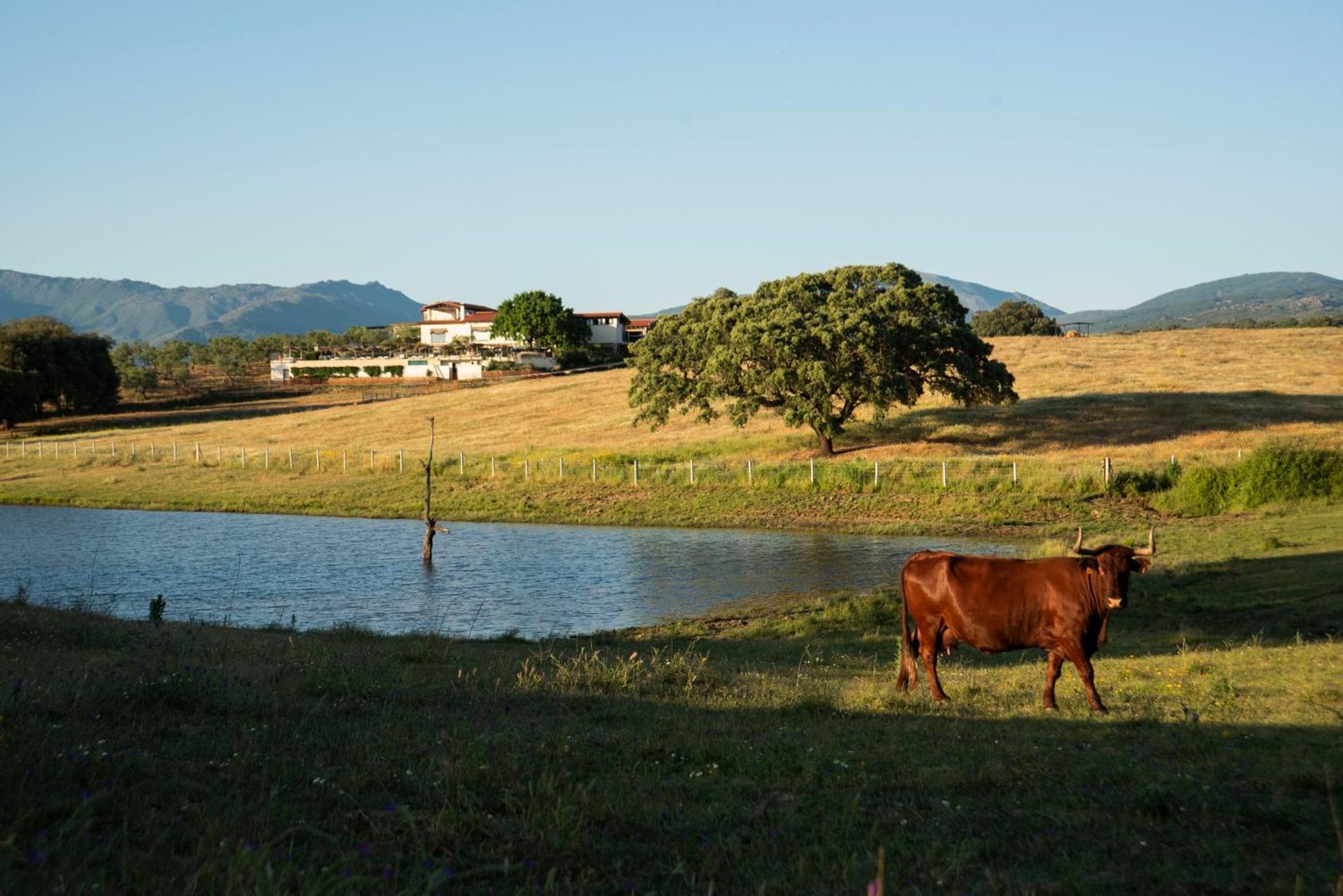 Habitat Cigueena Negra บัลเบรเดเดลเฟรสโน ภายนอก รูปภาพ